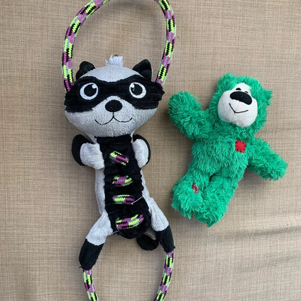 Kong Squeaky & robe raccoon Dog toy Bundle